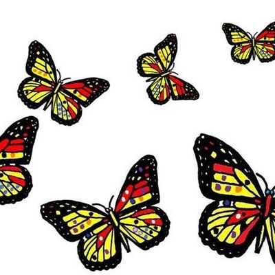 Histoire de papillons