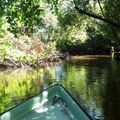 Une balade en barque sur le Courant d'Huchet (suite n° 2)....