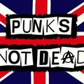 SEULE LA PUNK SE DOIT D'EXISTER