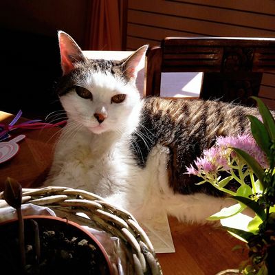 Février ensoleillé!