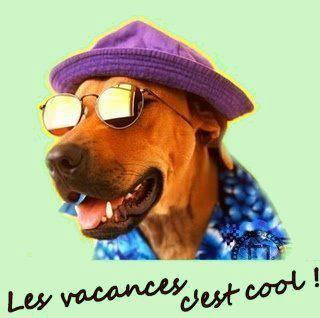 Réserver la place a votre chien pour les vacances