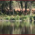 Début d'automne sur un étang de Sologne