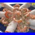 cornets de surimi thon et crevettes