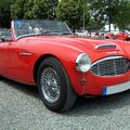 L' Austin healey 3000 (RegioMotoClassica 2009)