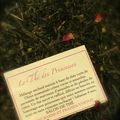Le nouveau thé du mois : un mélange exclusif de thés verts aromatisés : "le thé des Princesses" !!!