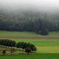 premières journées d'automne dans le Jura 