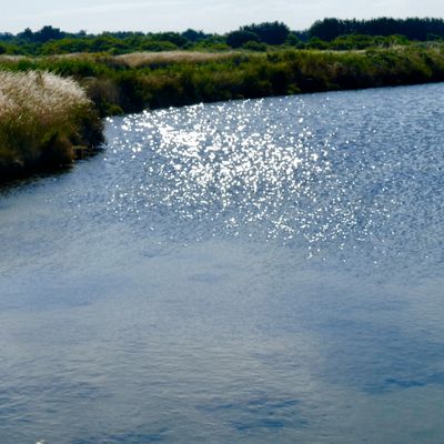 27ème étape : Guerande/Batz sur Mer