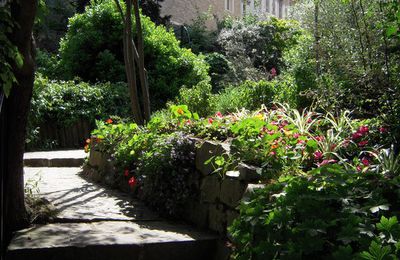 Coins de verdure du 7ème arrondissement