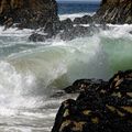 L’ÉTÉ, LES PHOTOS DE VAGUES C'EST LES PIEDS DANS L'EAU!