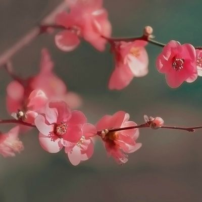 Respiration de vie (2011)