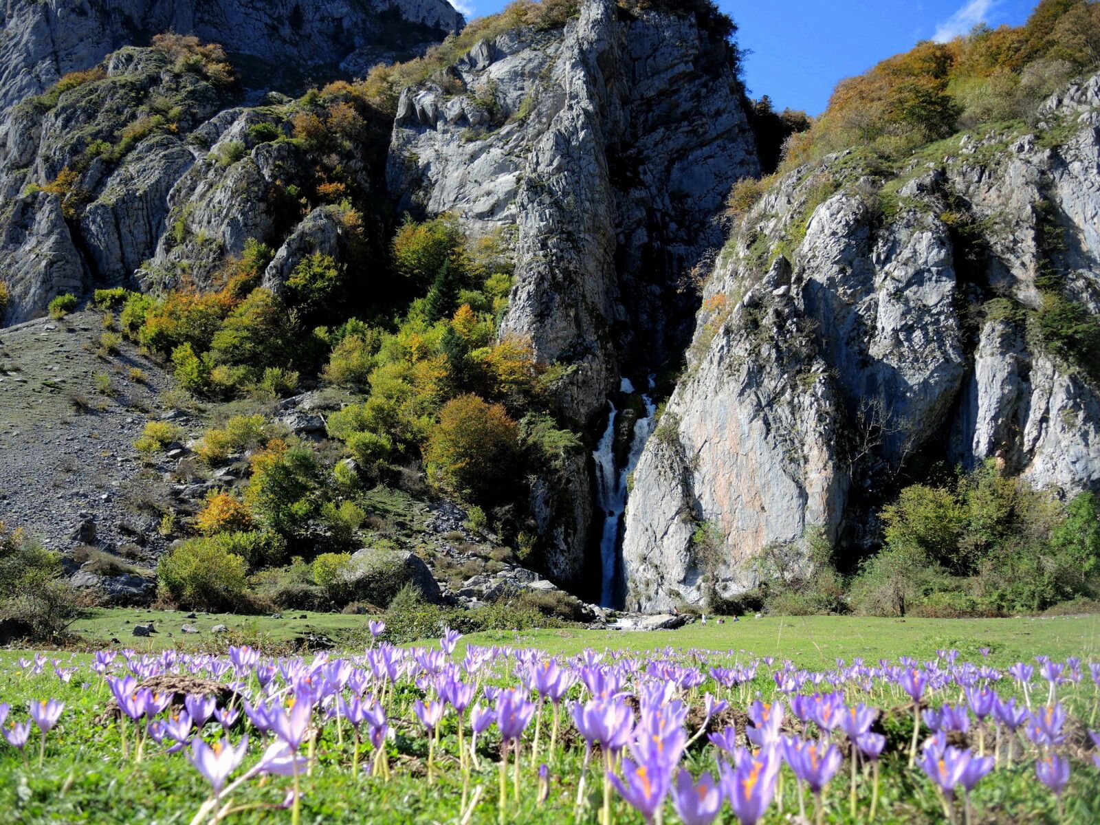 Lescun, plateau de Sanchèse, cascade de Sanchèse et colchiques..... (64)