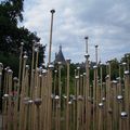 Chaumont sur Loire - la bibliothèque du souvenir