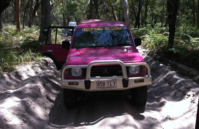 Fraser Island 