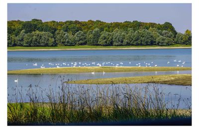 Lac du temple