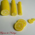 Atelier création d'une cane citron