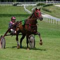 Trot attelé la roche sur yon ( 21/06 )