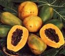 Se lancer à coeur perdu dans la papaye industrie