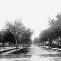 Le "jeune" boulevard Saint-Joseph