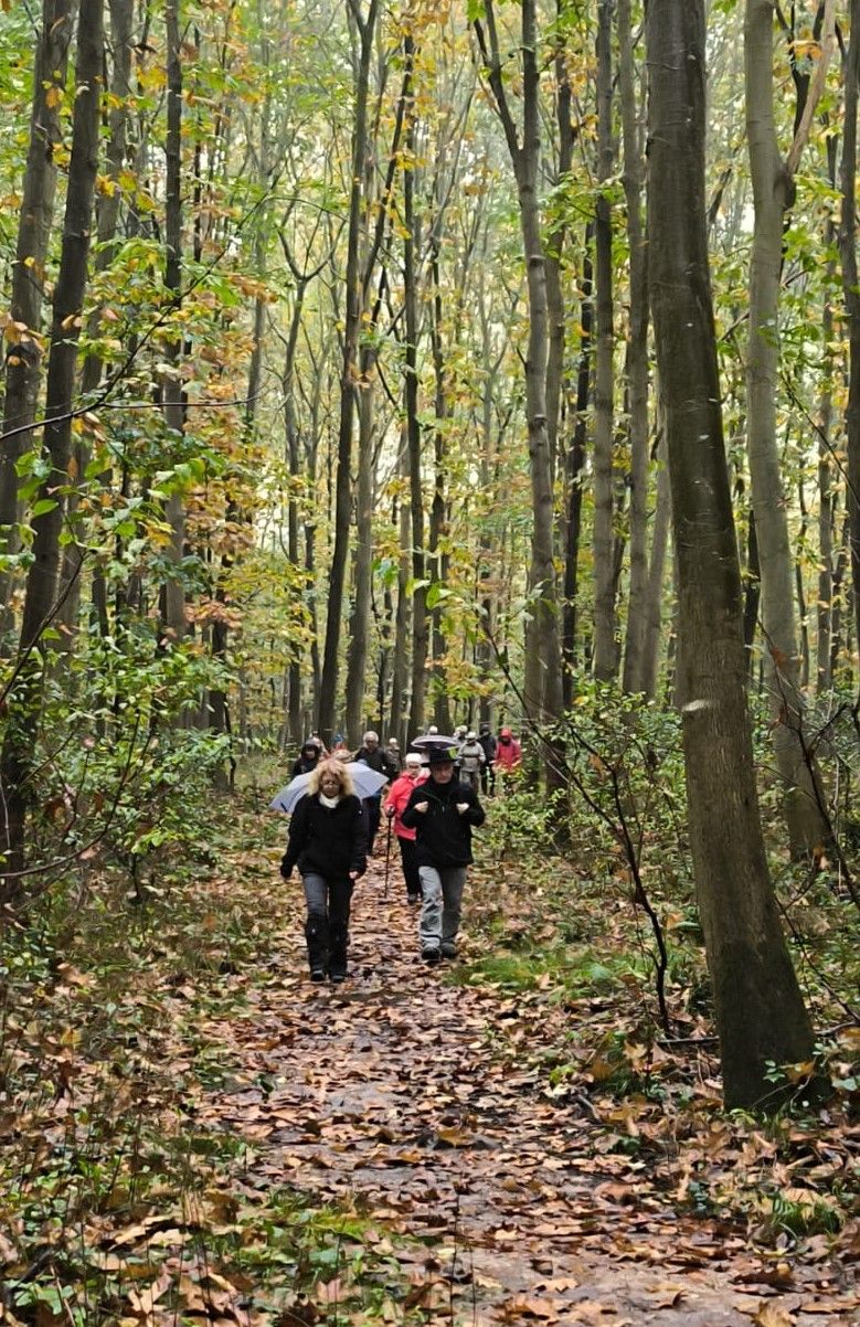 2. 2024. Rando Canteleu samedi 26 octobre