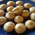 Muffins carotte-cannelle