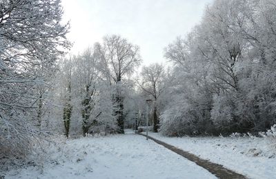 Ode au bosquet...