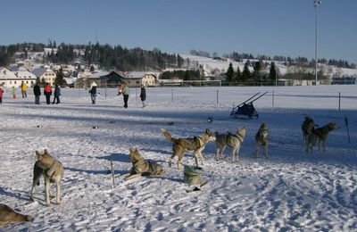 La magie du Grand Nord