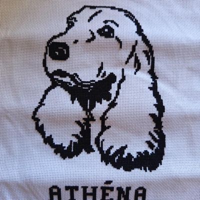 Vos Broderies !