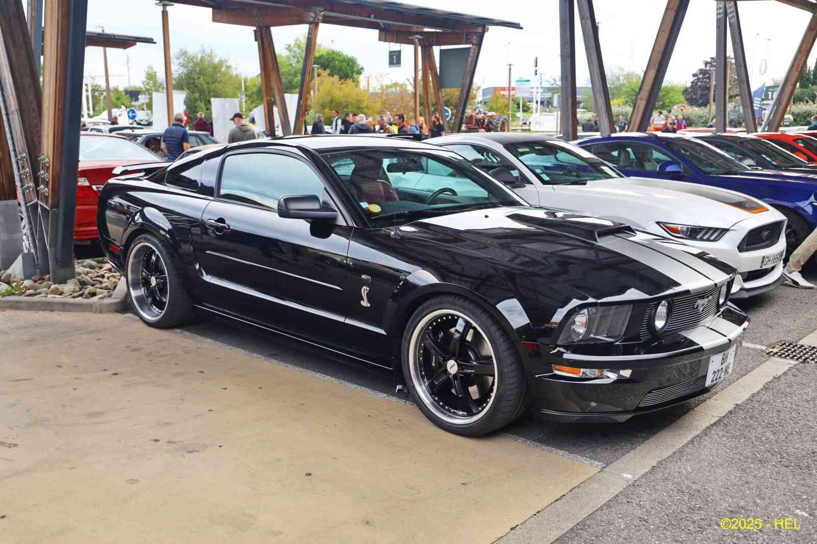 Ford Mustang V Shelby GT-SC_02 - 2007 [USA] HL_GF