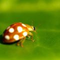 Découvrir la nature ailleurs