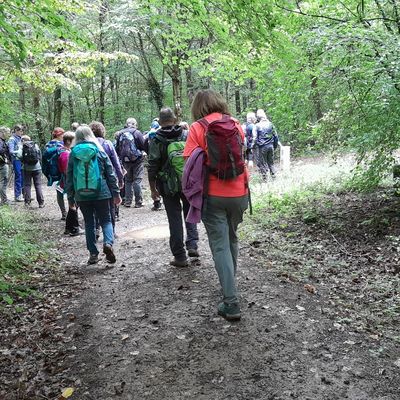 Randonnée à Champigneulles – 14 km de convivialité