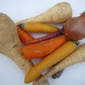 Velouté panais-carottes tricolores