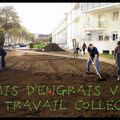 SEMIS D'ENGRAIS VERT