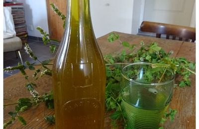 Le Sirop de Menthe Maison