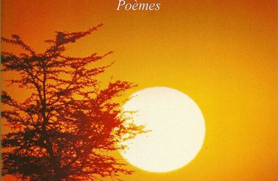 La Morsure du Soleil (Un recueil de poèmes de Liss Kihindou)