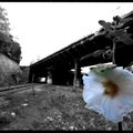 STATION BUTTES CHAUMONT BIENVENUE SUR LA PETITE CEINTURE