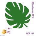 PHILODENDRON....................A.B.C.D.
