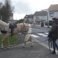 Quand un artiste s'intitie à l'attelage...