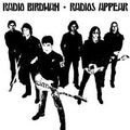 RADIO BIRDMAN - " Hand of law " (1977)