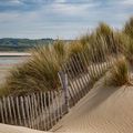 Les dunes du Touquet