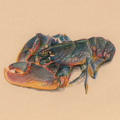 hommage à Mathurin Méheut