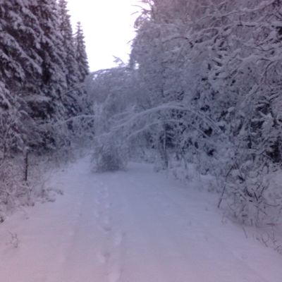 billet hivernal....avec une toute petite pensée de printemps....