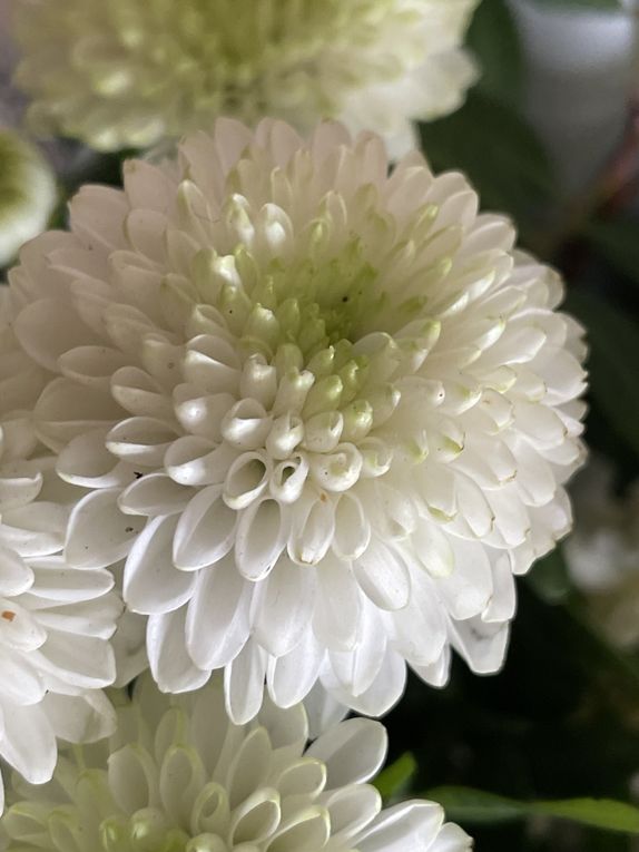 Lundi 27 octobre 2025 Ma gentille voisine m'a offert un beau bouquet dernièrement ,&quot;Un petit bouquet pour prolonger la beauté du geste. Belle semaine à vous qui passez par ici ! mon diapo s'en suit 