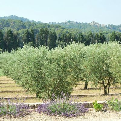 Une balade en Provence