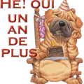 C'est mon anniversaire ...