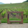 Ballade à vélo sur la route du vignoble alsacien