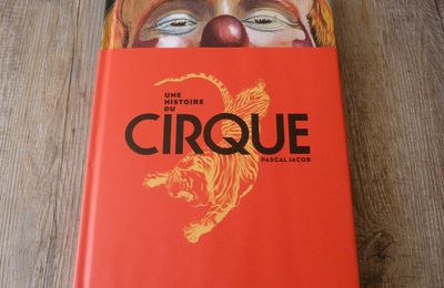 Quelques beaux livres à mettre sous le sapin : cirque, mode, rock, moyen âge et peinture.. 