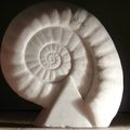 Ammonite stéatite 30cm