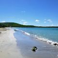 Vendredi 25 septembre : Anse Meunier et les Salines