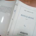 Ronce-Rose de Eric Chevillard