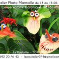 Atelier Photo un bon plan vacance pour vos enfants !!